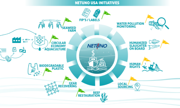 NETUNO’s Sustainability Involvement