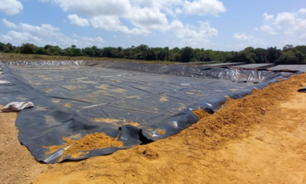 Grouper Farm Beginning Construction