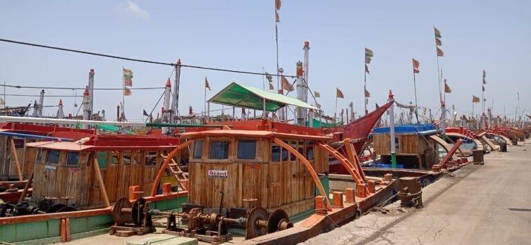 NETUNO Launches Indian Unicorn Filefish Fishery Improvement Project (FIP)