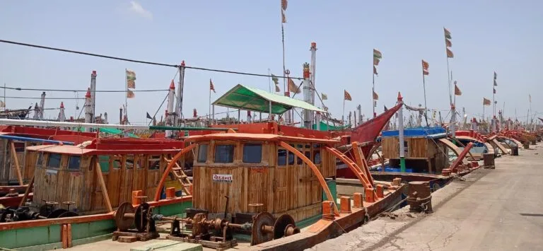 NETUNO Launches Indian Unicorn Filefish Fishery Improvement Project (FIP)